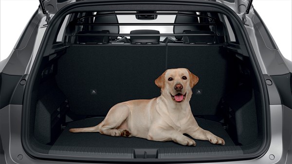 bac de coffre - accessoires - Renault Austral E-Tech full hybrid